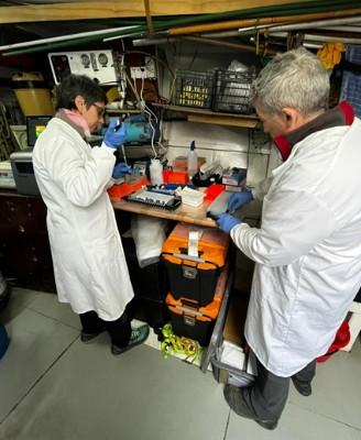 05-04-24_Virologist_performing__laboratory_testing_on_board_Research_Support_Vessel__Australis.jpg - International team of scientists determine further spread of HPAI in the Antarctic Peninsula region