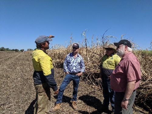 28-06-24_Peter_Dahlhaus_and_research_team_at_Burdekin_Cane_trial_site.jpg - Federation University receives $1.2m funding for soils research program